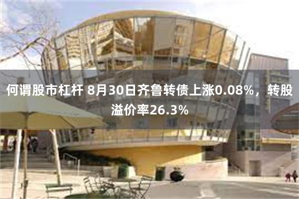 何谓股市杠杆 8月30日齐鲁转债上涨0.08%，转股溢价率26.3%