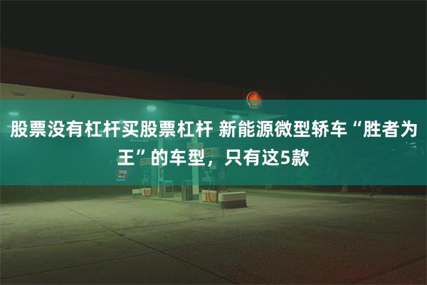 股票没有杠杆买股票杠杆 新能源微型轿车“胜者为王”的车型，只有这5款