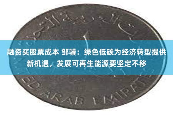 融资买股票成本 邹骥：绿色低碳为经济转型提供新机遇，发展可再生能源要坚定不移