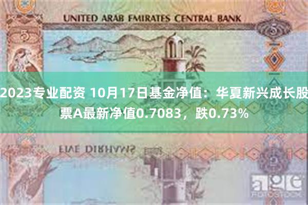 2023专业配资 10月17日基金净值：华夏新兴成长股票A最新净值0.7083，跌0.73%