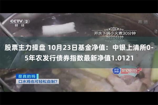 股票主力操盘 10月23日基金净值：中银上清所0-5年农发行债券指数最新净值1.0121