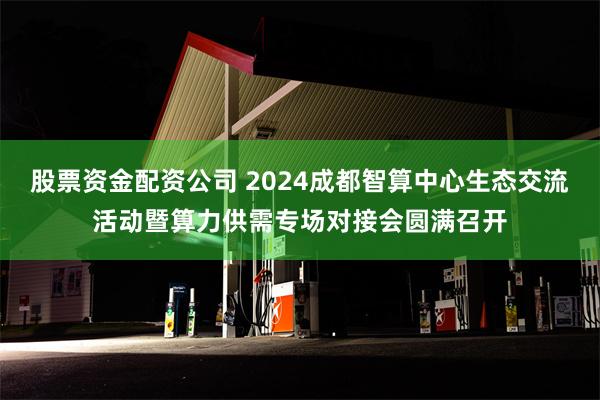 股票资金配资公司 2024成都智算中心生态交流活动暨算力供需专场对接会圆满召开