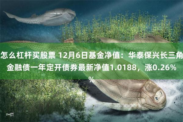 怎么杠杆买股票 12月6日基金净值：华泰保兴长三角金融债一年定开债券最新净值1.0188，涨0.26%