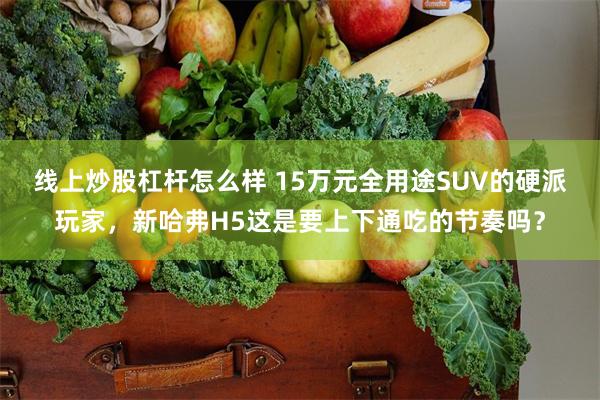 线上炒股杠杆怎么样 15万元全用途SUV的硬派玩家，新哈弗H5这是要上下通吃的节奏吗？