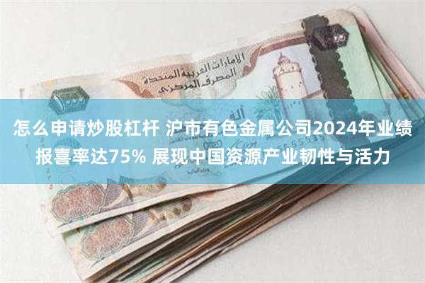 怎么申请炒股杠杆 沪市有色金属公司2024年业绩报喜率达75% 展现中国资源产业韧性与活力